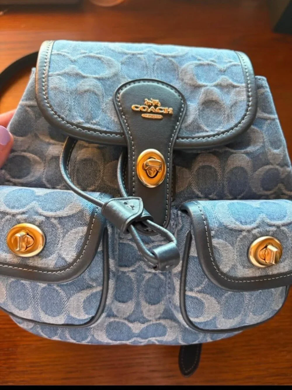 Coach Hadley backpack